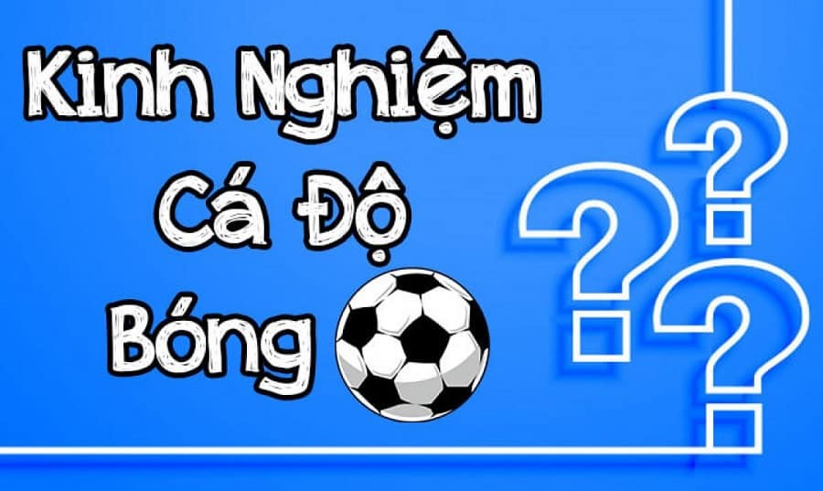 Cách thức giúp các tân binh giành chiến thắng trong cá độ bóng đá Cach thuc giup cac tan binh gianh chien thang trong ca do bong da