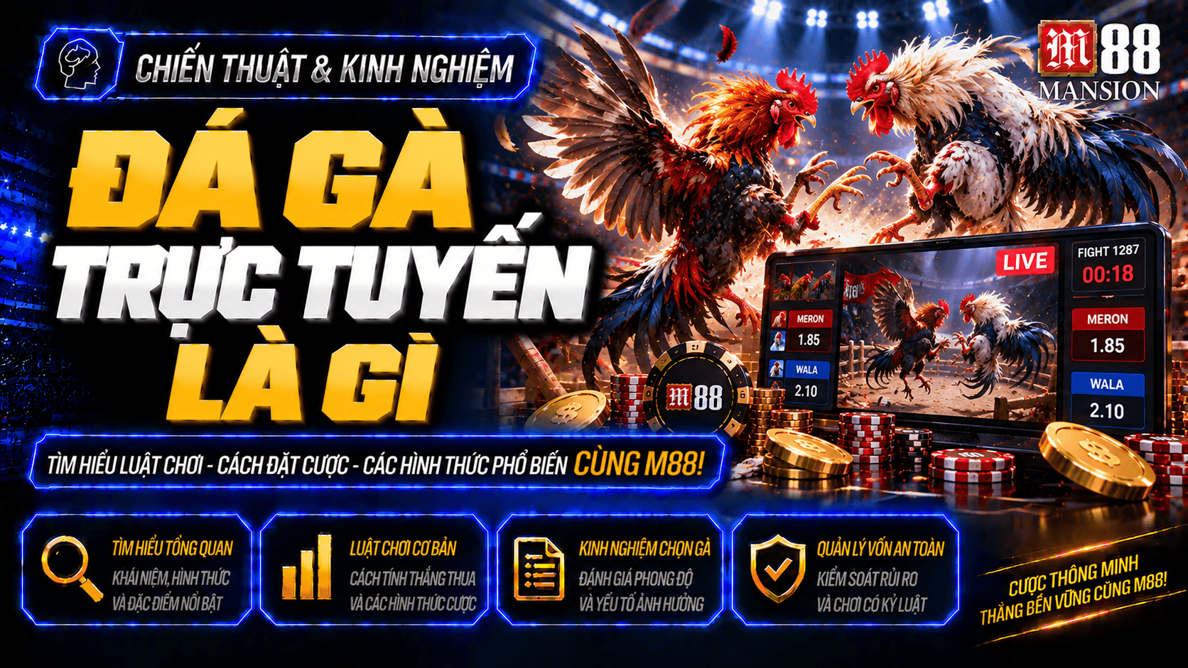 Đá gà trực tuyến là gì và cách theo dõi trận đấu cho người mới tập chơi